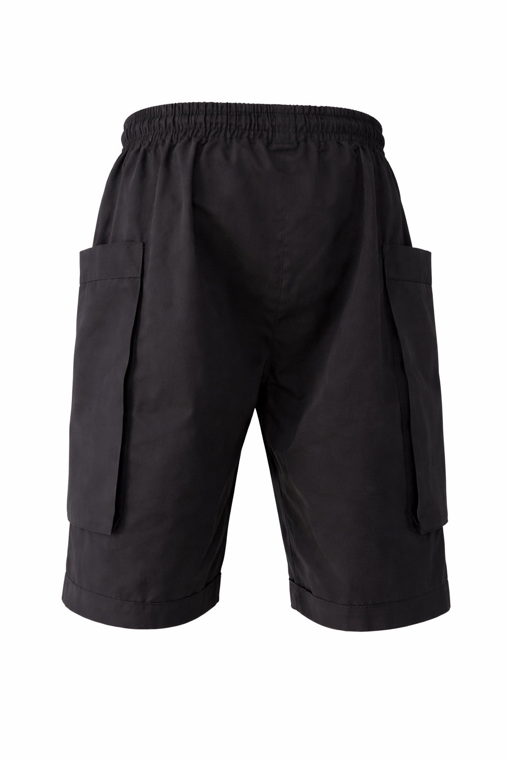 MODULE SHORT|01